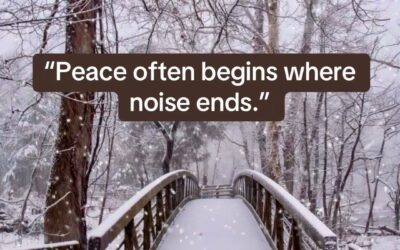 In the Quiet Moments, We Find Ourselves Again