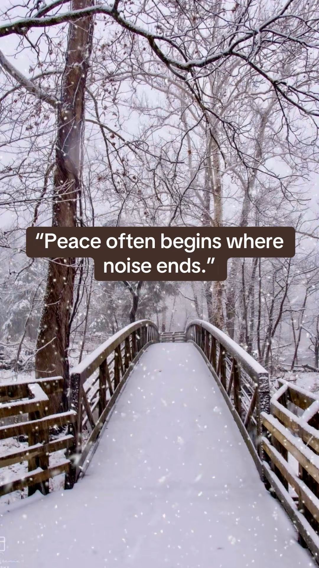 In the Quiet Moments