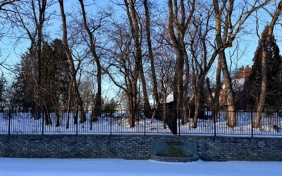 A Reminder of Quiet Happiness