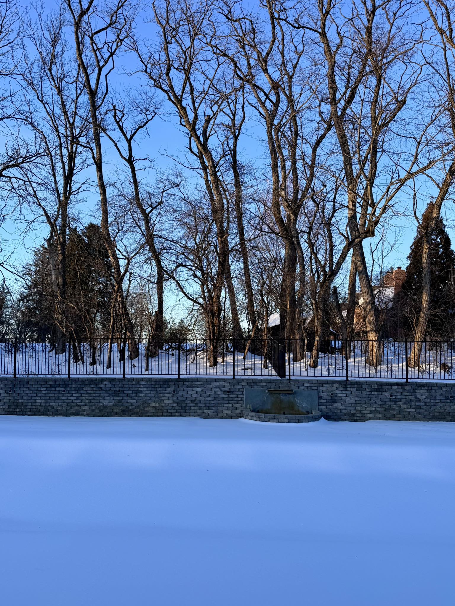 A Reminder of Quiet Happiness