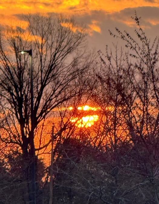 Sunsets