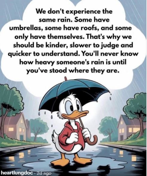 Rain
