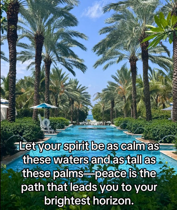 Find Your Peace