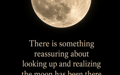 The Moon Is Still There